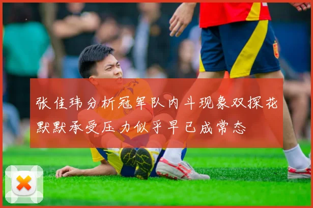 张佳玮分析冠军队内斗现象双探花默默承受压力似乎早已成常态